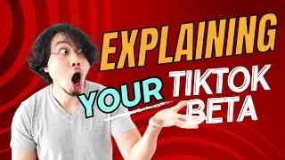 Explaining TikTok Beta
