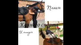 Плюсы и минусы занятий верховой ездой