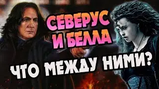 За Что Беллатриса Ненавидела Северуса Снейпа?