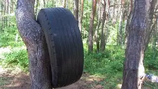 Скаты. часть 1. Байки грибника.