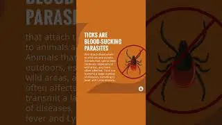 Ticks in Pets | Merck Veterinary Manual