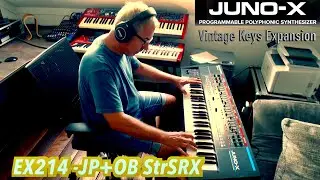 Roland Juno X - EXZ Vintage Keys Expansion - Part 2 (Strings, Synths, Lead,Brass)  - no talking