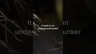Random bunkers in New Zealand