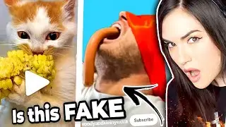 Is This Stuff REAL | Sasha Reacts