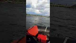 29 июня 2024 г.