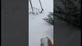 Хорошо успели все укрыть 