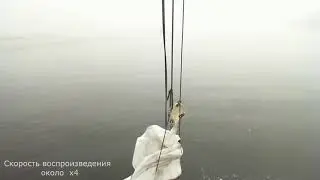 Туман  Вход в Кочергу