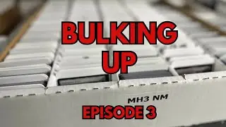 Bulking Up Ep #3: The Human Condition(ing)