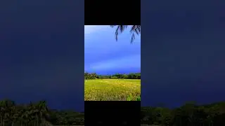 Power of Gcam💥😵‍💫 #shorts #gcam #photography #nature