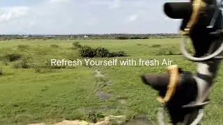 Digital Detoxification