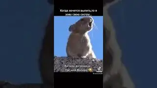23 ноября 2021 г.