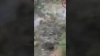 Дети едут на лыжи ! Карпаты
