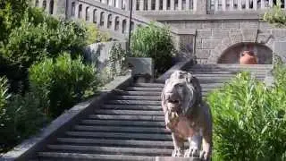 Юсуповский дворец Южный фасад