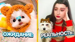 ❗️ KOREAN HAUL - EXPECTATION vs REALITY 🤬
