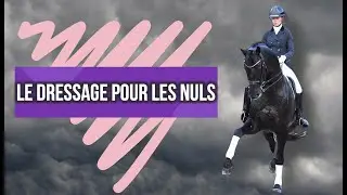 Comment reconnaitre les différents mouvements du Grand Prix dressage