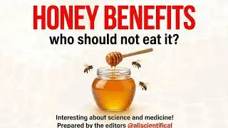 What is the use of honey: 7 main properties and who should not consume it?