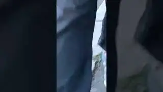 Hodanje