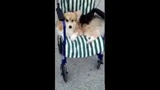 Riding in style after my foot cast was taken off!