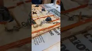 8 мая 2023 г.