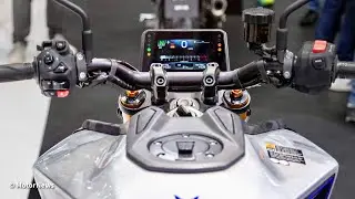 New 12 Most Aggressive Middleweight Naked Roadsters | 2024