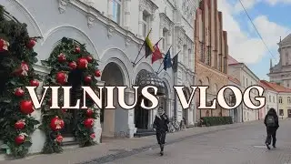 Вильнюс Готовится к Рождеству | Планы на 2024 год | Поднимаемся на Телебашню! | Жизнь в Литве