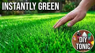 How To Get Greener Grass - Revive Brown Lawn - Green Grass For Dummies