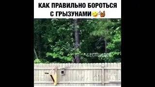 на заметку
