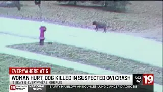 Arraignment for suspected drunk driver accused of injuring woman, killing dog