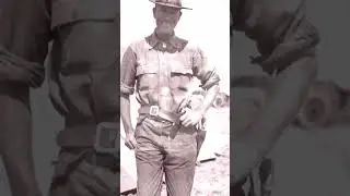 Муравьиные круги #shorts