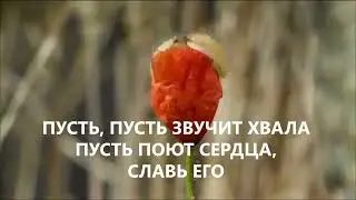 Пусть звучит хвала - Алексей Каратаев // минус