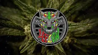 4Flow - Need Fire