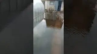 Дачники плаваем