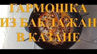 БАКЛАЖАНЫ ФАРШИРОВАННЫЕ БАКЛАЖАНЫ ГАРМОШКА В КАЗАНЕ НА КОСТРЕ #65