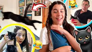 SARAH GANHOU UM GATINHO MUITO LOUCO ! - Família Araújo