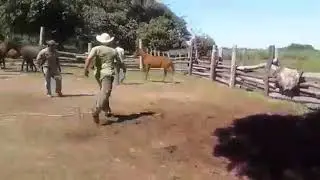 Um dia na Fazenda - Pantanal - Mato Grosso do Sul