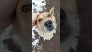 Этот взгляд джека... ☺️ 