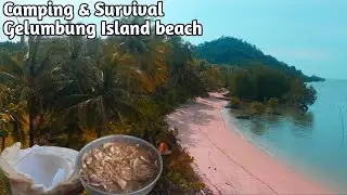 Camping & Survival on the Beach - Cook Squid Sauce, Get Free Young Coconut