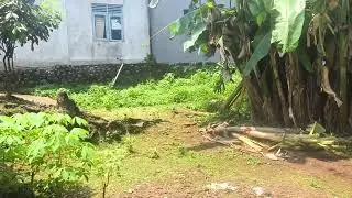 HASIL VIDEO CAMERA POCO X6 PRO RESOLUSI 4K 30FPS