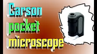 Best Carson pocket microscope 2023 Review on Amazon USA #shortsfeed