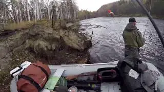 Хариус на реке Хуту 2017.