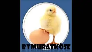 SEZONU AÇTIK 2022
