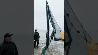 2 июля 2024 г.