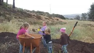 Moringa Family Fun