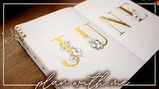 Plan With Me: June 2020 Bullet Journal Set Up