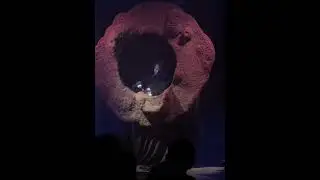 Сыграли 6 премьерных показов спектакля «Снится ли марсоходу море?» 8+ 😍