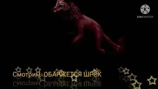Кто Даша???