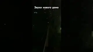 Вместо цикад - сверчки! Это победа) #корея #переезд #дом #звукиприроды #жилье