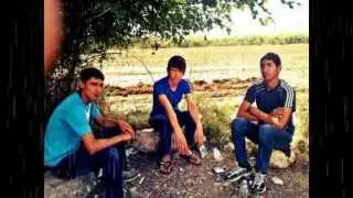 Kedi (Hüseyin Aktan)