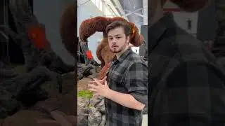 BREAKING INTO RIOT HQ..