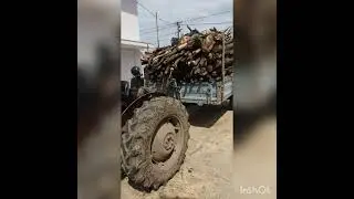 TAFE42 i 4M drva transport 4 brzom